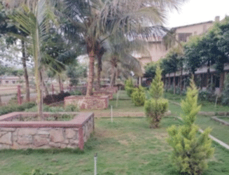 college garden