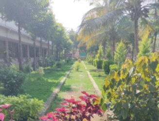 college garden